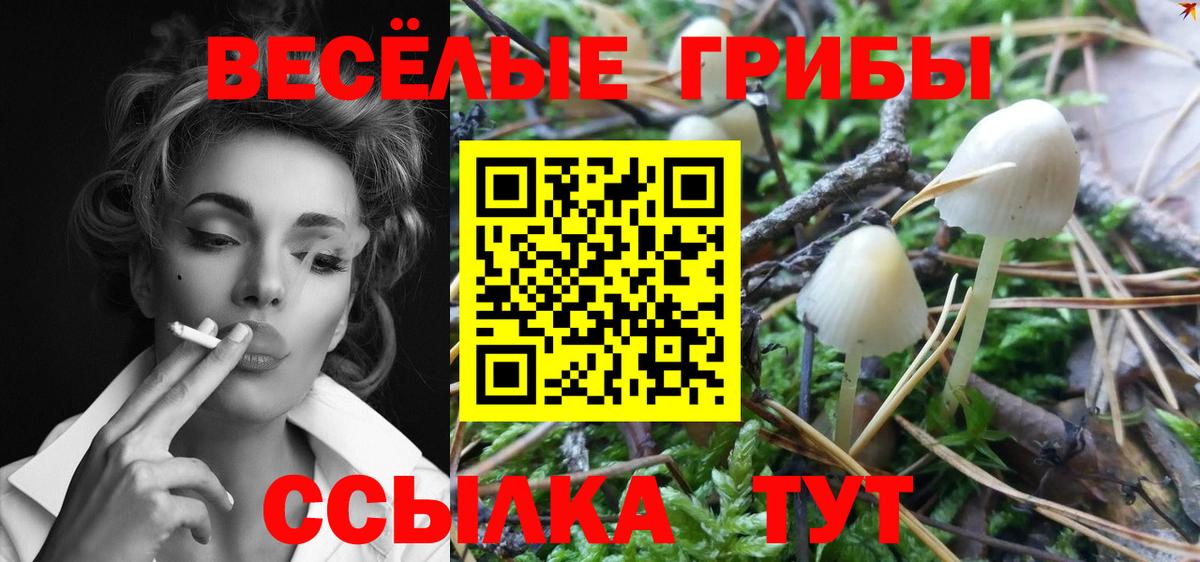 Галлюциногенные грибы MAGIC MUSHROOMS Кыштым